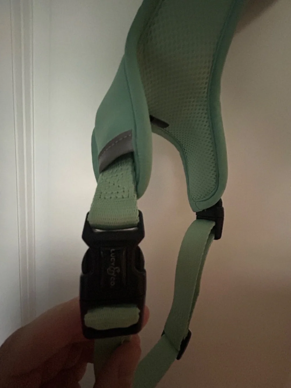 Lucy & co. dog harness